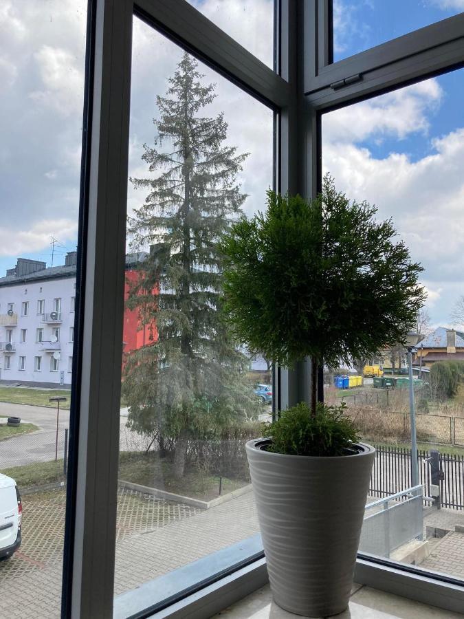 Apartament Miodowa 9 Звежинец Экстерьер фото
